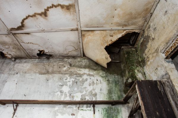Water Damage Service in Panama City Beach