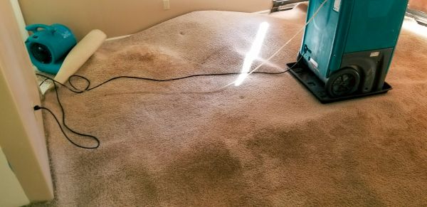 Flood Damage Cleanup in Panama City Beach