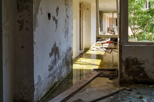 Water Removal Service in Panama City Beach