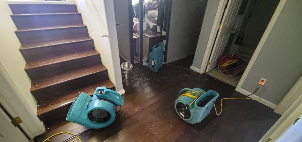 Water Damage Remediation in Panama City Beach